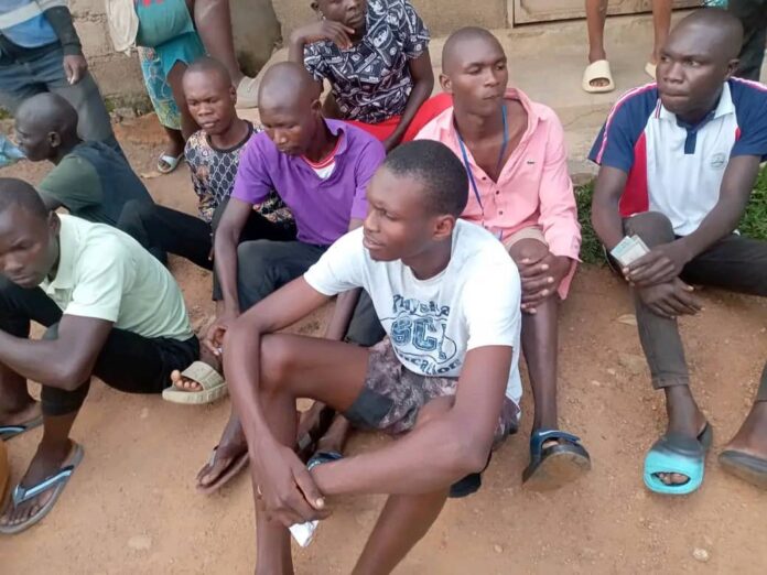 WhatsApp Image 2025-09-17 at 03.24.37